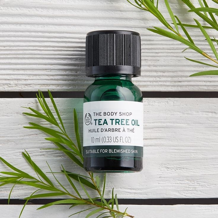 [ORI] TEA TREE OIL THE BODY SHOP