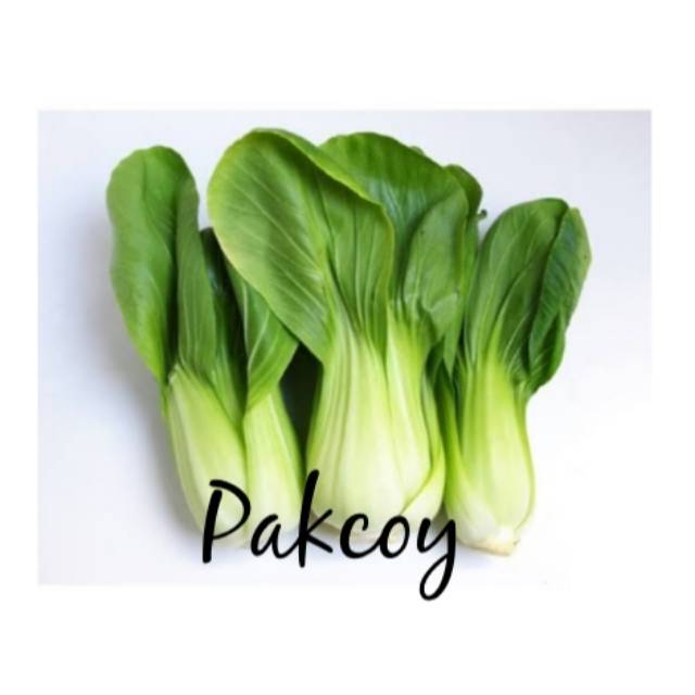 

Pakcoy Hijau 250 Gram