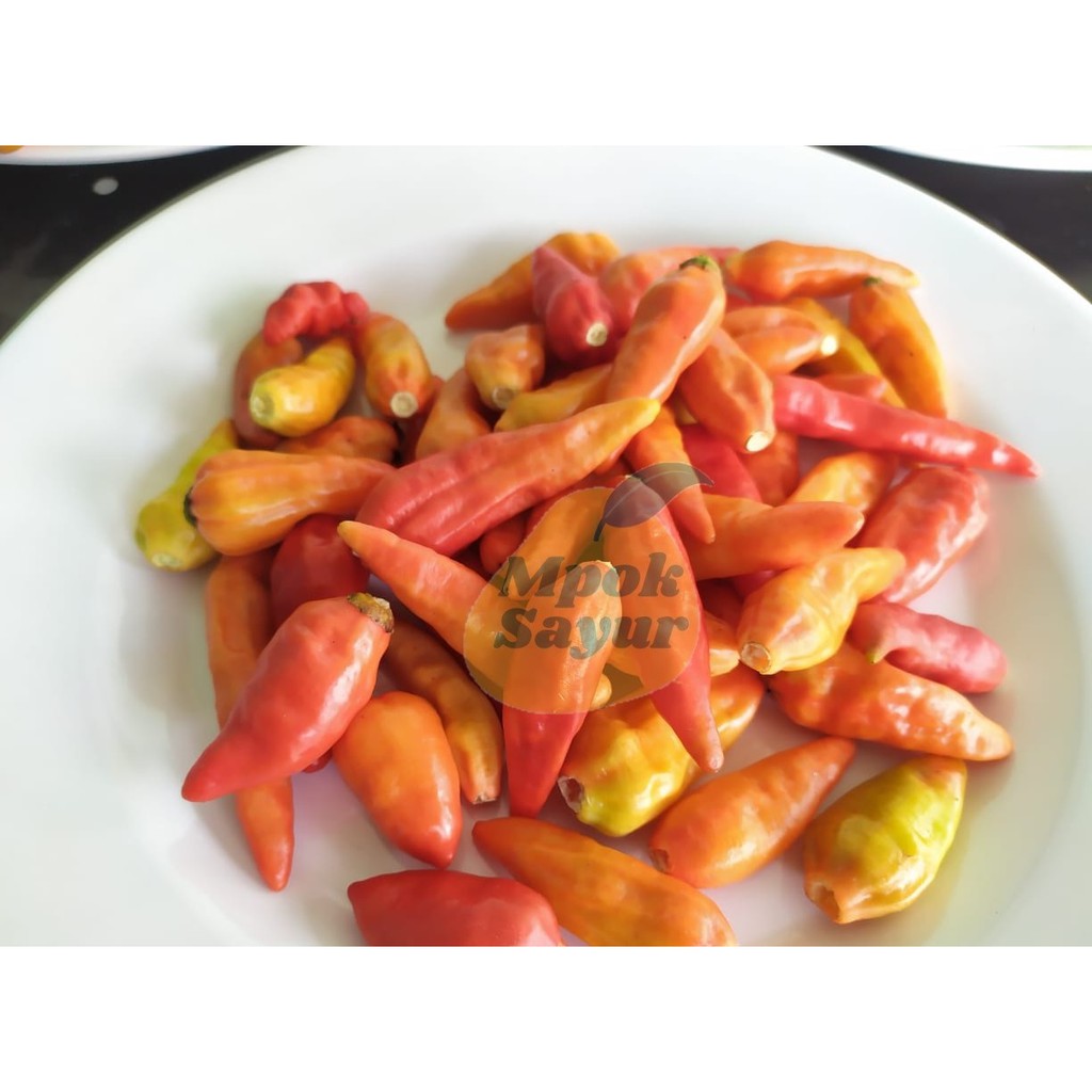 

Cabai rawit merah cabe rawit