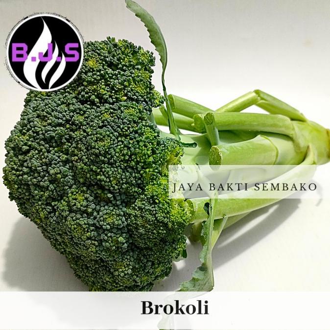 

DISKON BROKOLI HIJAU 1KG BERKUALITAS