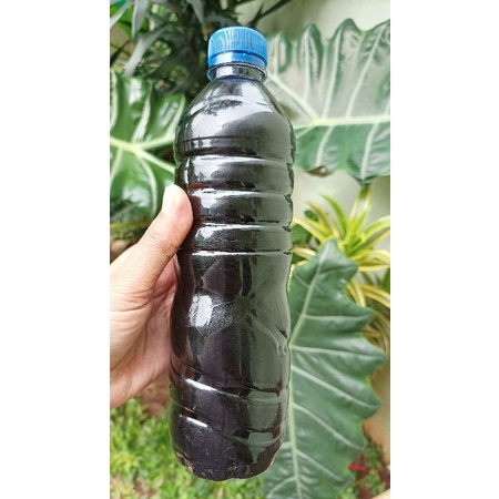 

Molase Tetes Tebu 1 botol