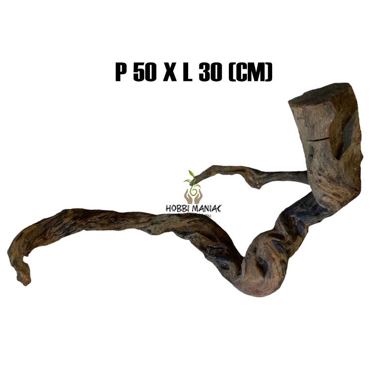 Hardscape Kayu Aquascape Santigi Gunung P 50 X L 30 CM