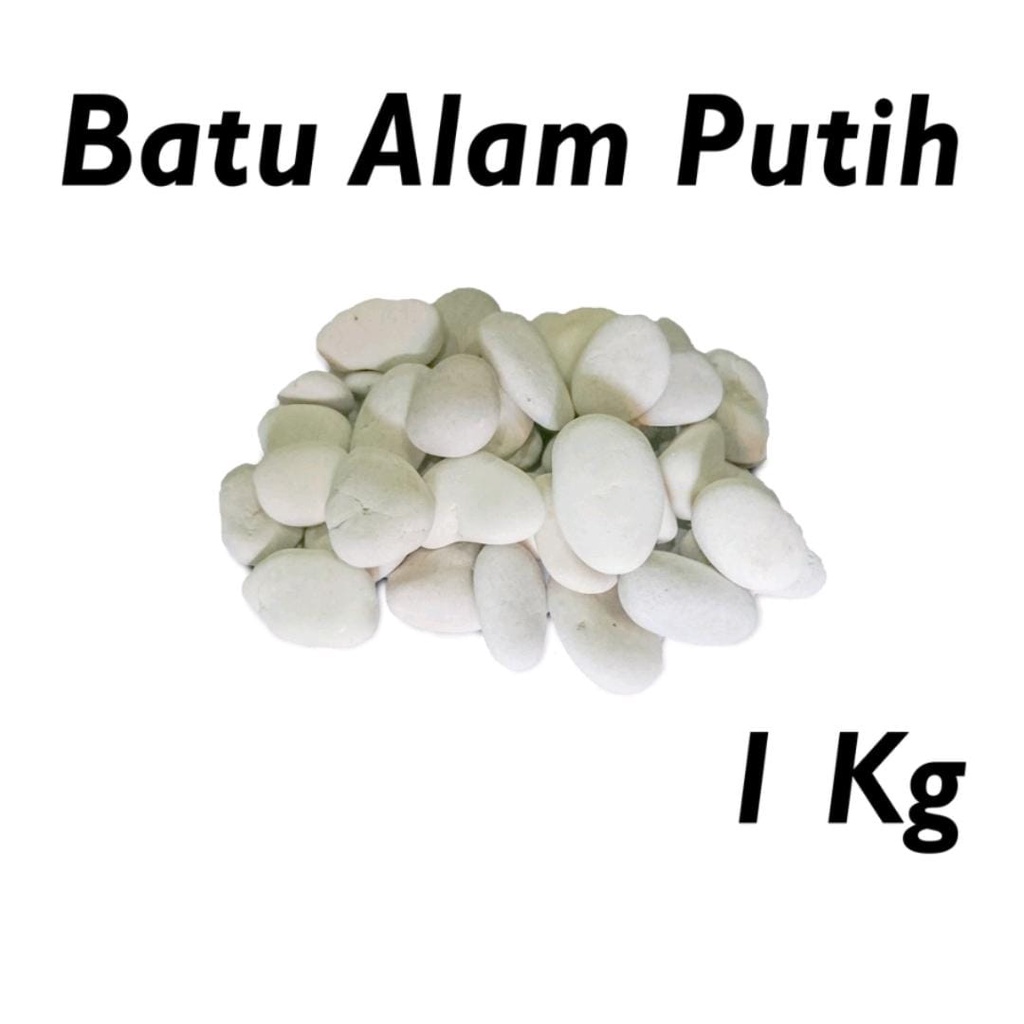 Batu Koral Putih / batu dekorasi taman batu makam batu hias tanaman 1kg aquarium-aquascape