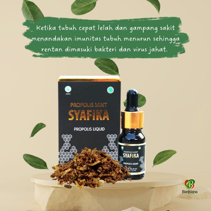 

Propolis Anti Bakteri / propolis Mint Syafika JHP / Obat Jerawat Obat Bisul