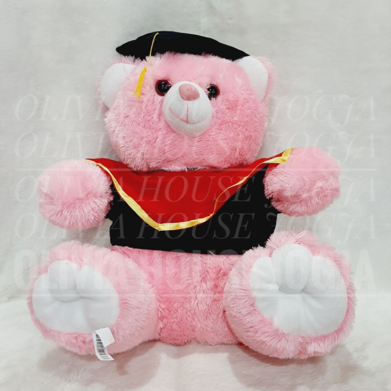 Boneka Wisuda Beruang Pink Jumbo Chubby Rasfur Boneka Wisuda Bear Pink Kumbo
