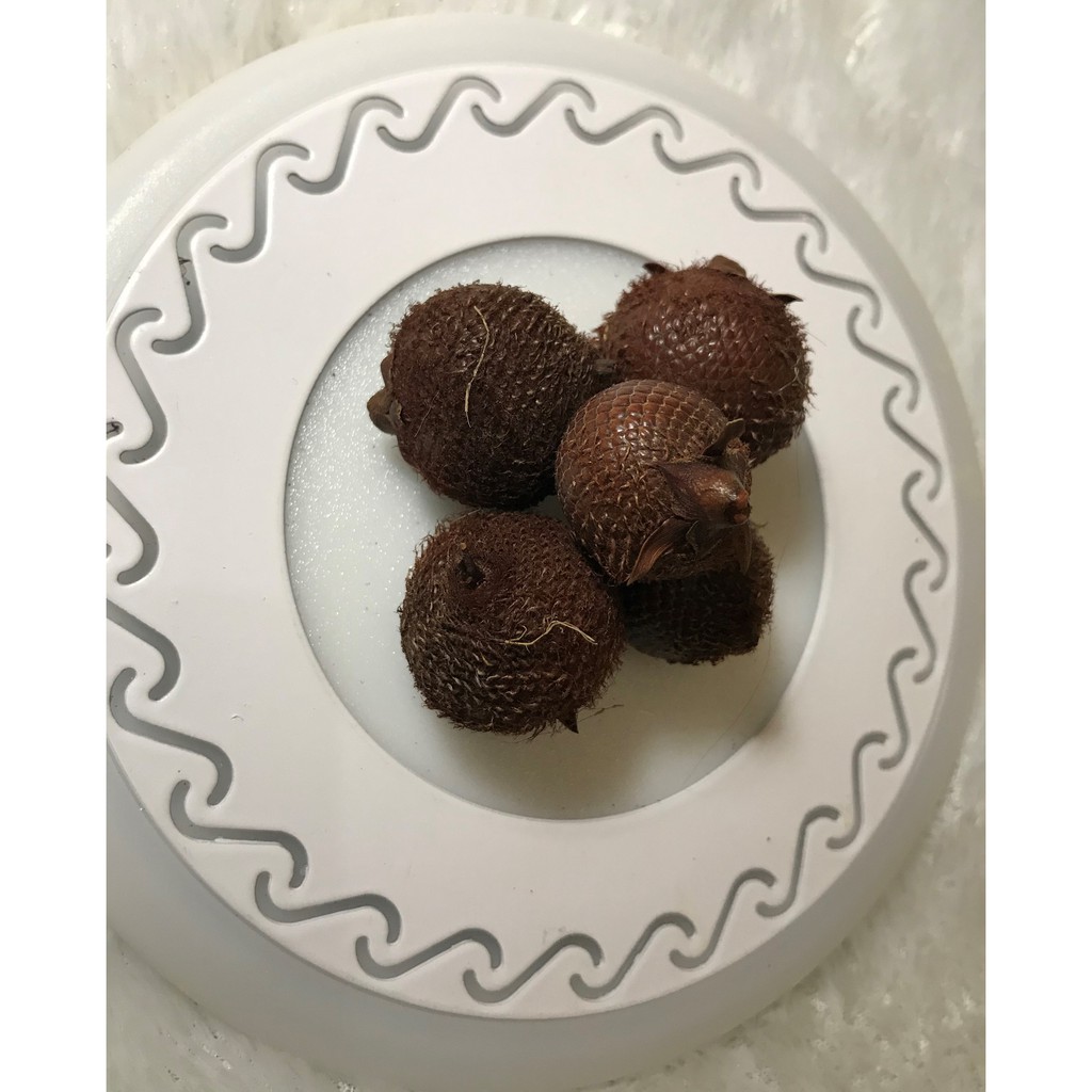

Salakan Biji Rotan Salakan 100gr