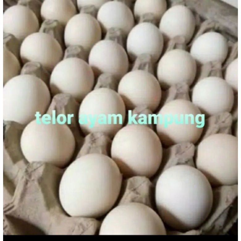 

telor ayam kampung 1biji