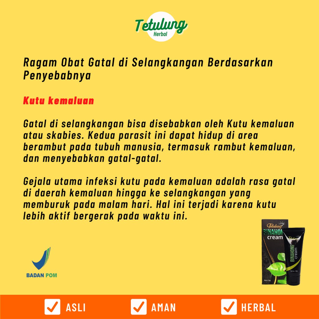Obat Salep Gatal/Gatel Selangkangan / Kemaluan / Miss V / Kelamin - Salep Binahong Cream 20gr & Sabun Binahong-7
