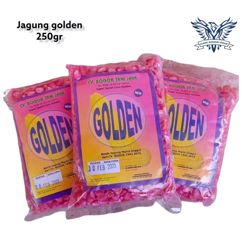 Benih Jagung Bibit jagung Manis  Madu Golden 250gr exotic