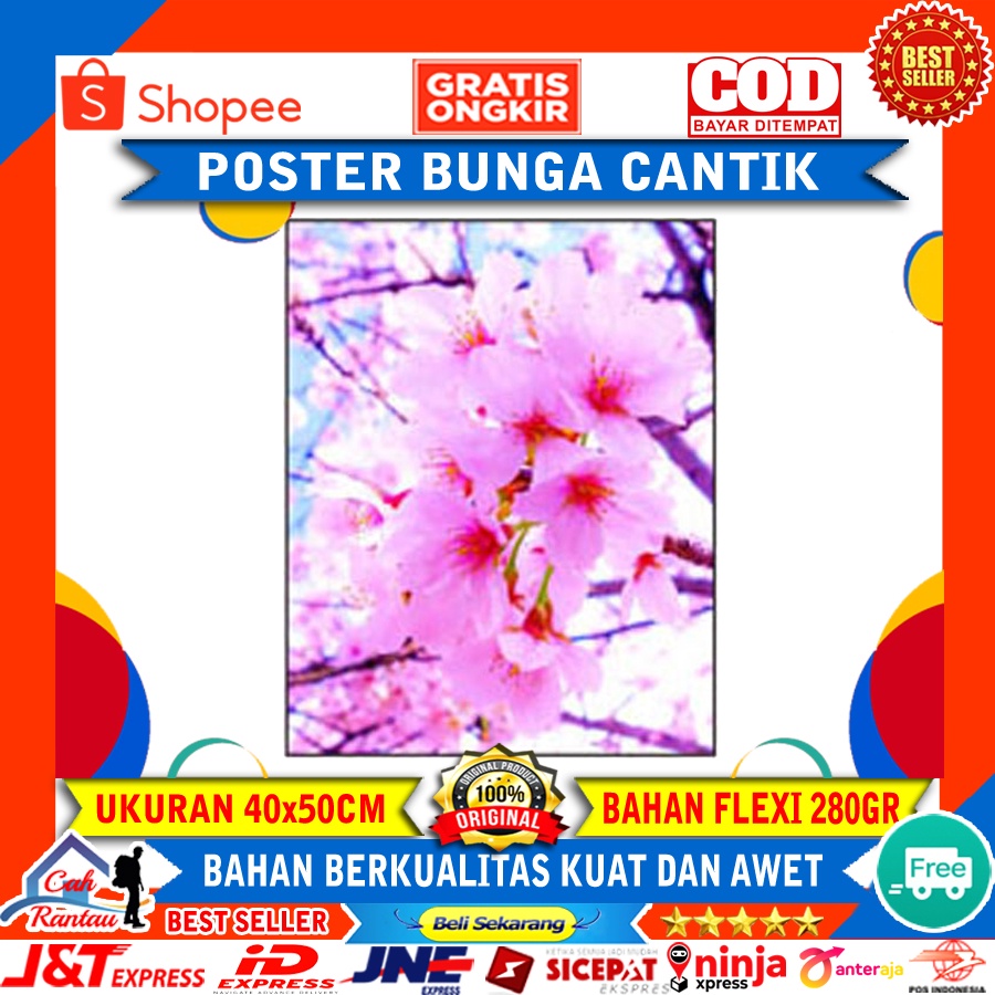 Poster Bunga Sakura