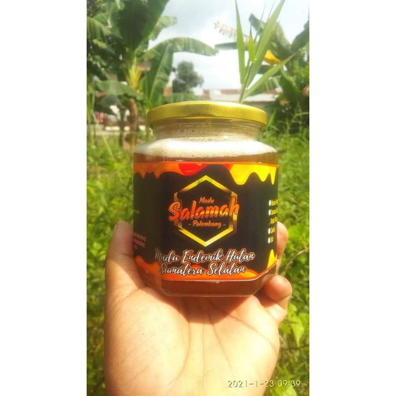 

MADU HUTAN ENDEMIK SUM-SEL ASLI MURNI | 500 GRAM