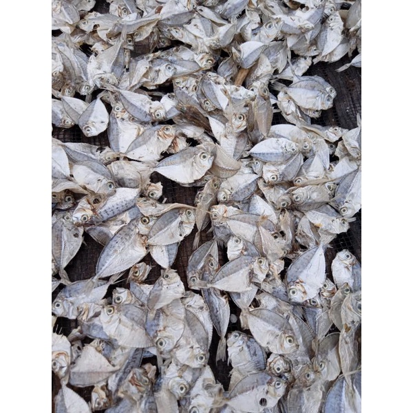 

Ikan kopek kecil (500 gr)