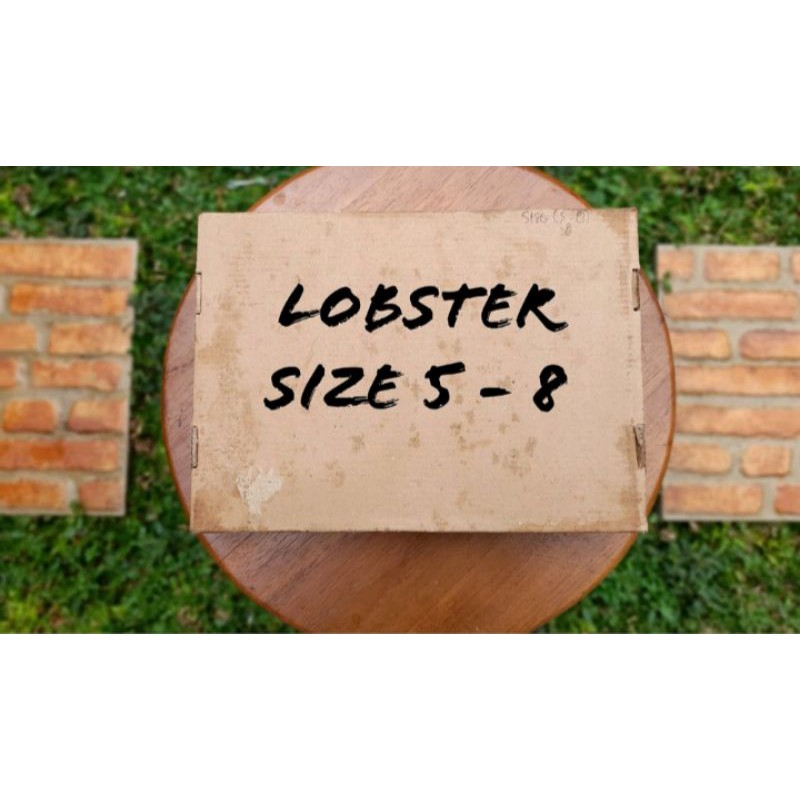 

Lobster Air Tawar Size 5-8