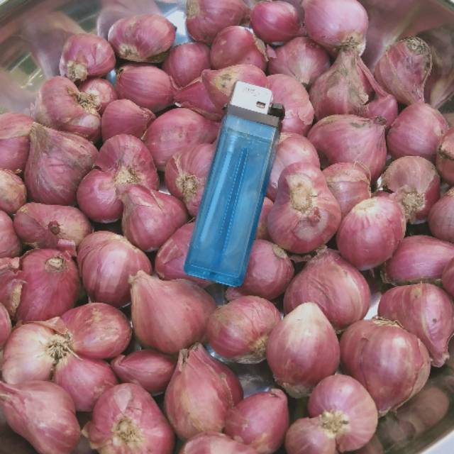 

Bawang Merah Probolinggo