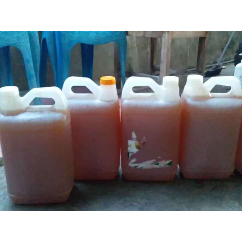 

madu asli NTT ukuran 5 liter