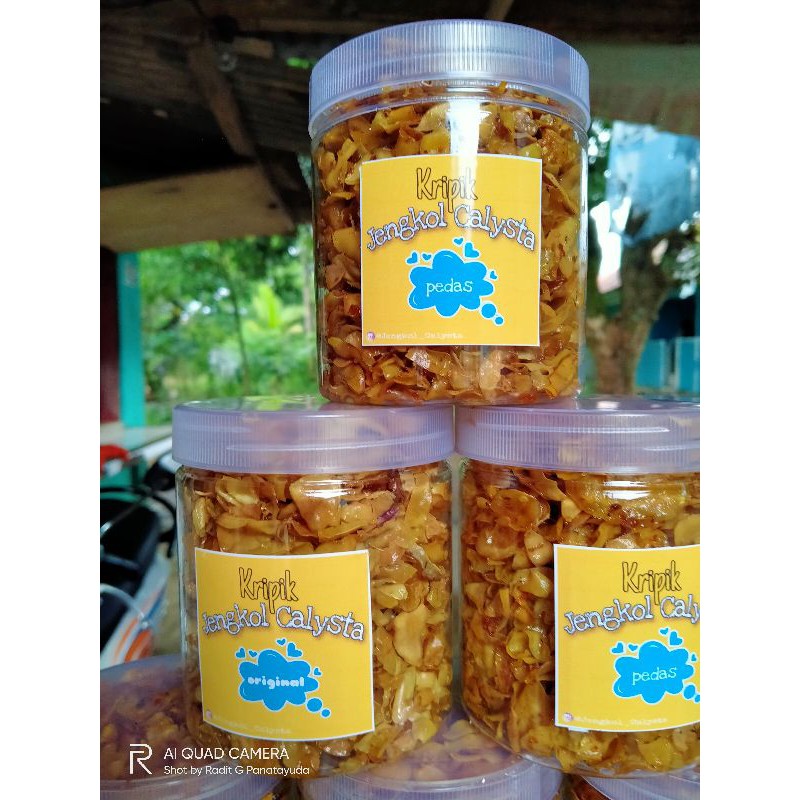 

Jengkol Calysta