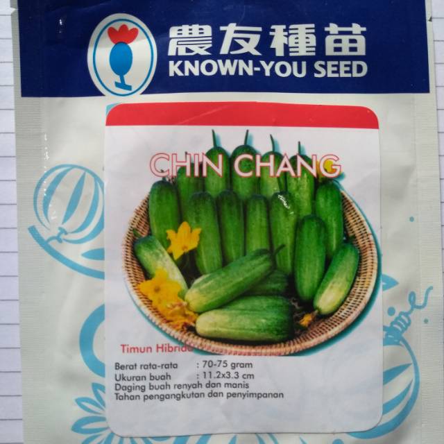 Timun baby "Chin Chang"