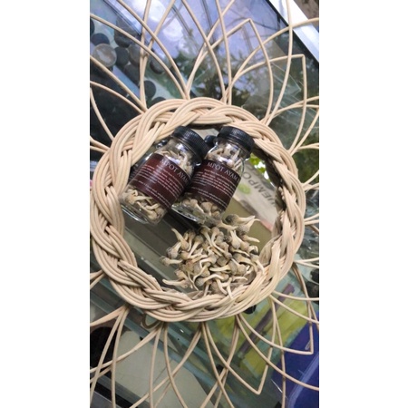 

empot putih utuh albino