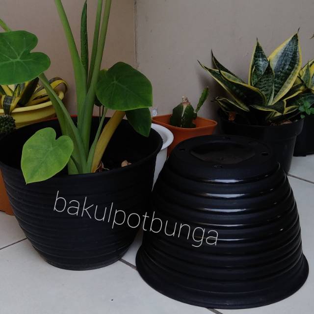 Pot Bunga  Plastik  motif Tawon 21 Shopee  Indonesia