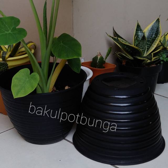  Pot Bunga Plastik motif  Tawon 21 Shopee Indonesia