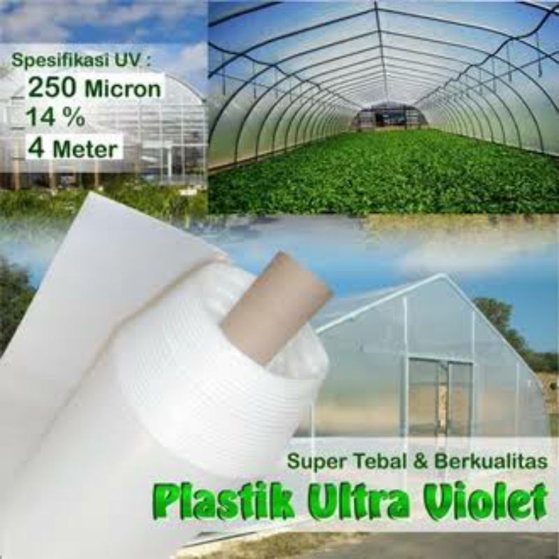 PLASTIK UV GREENHOUSE2LAYER TEBAL 200MICRON UV 14% LEBAR 4M JUAL PERMETER