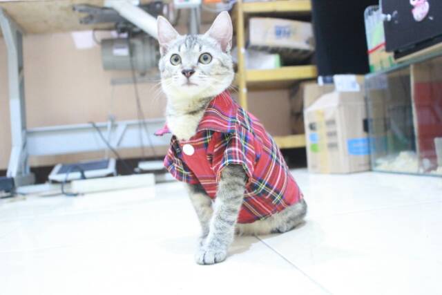 Kemeja kotak-kotak merah lucu untuk kucing dan anjing size S M L XL / baju kucing murah