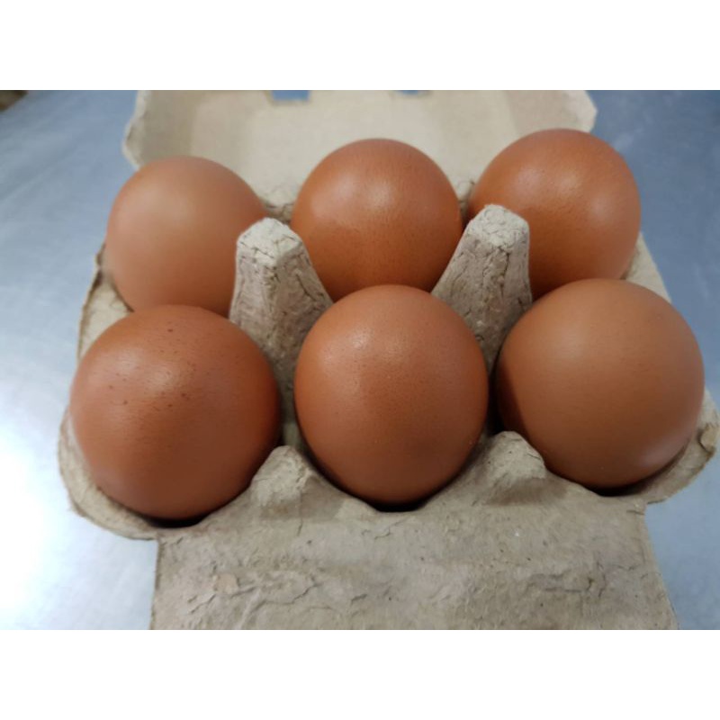 

TELUR AYAM NEGRI ISI 6 BUTIR