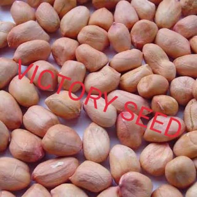 

Kacang tanah bandung 250 gram