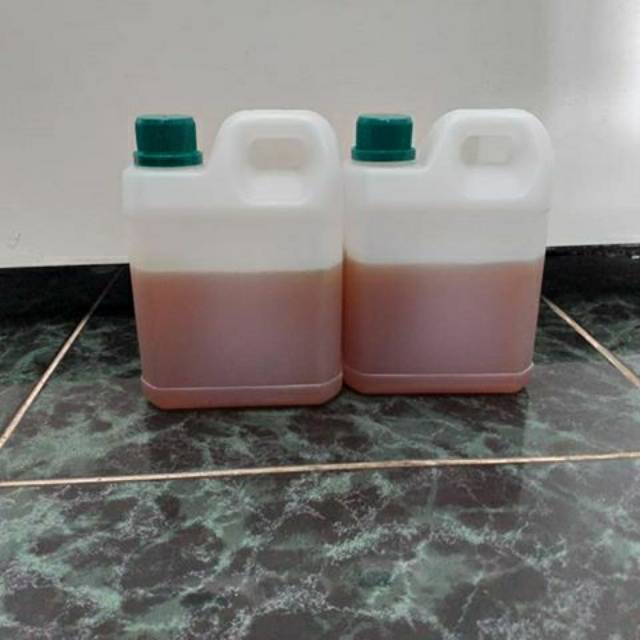 

MADU SONOKELING ASLI 1 KG