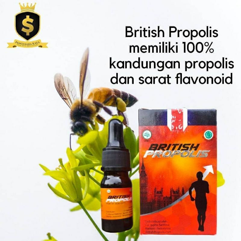 British Propolis Original (6ml)