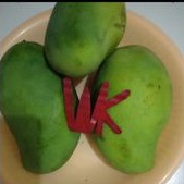 

Mangga Harum Manis