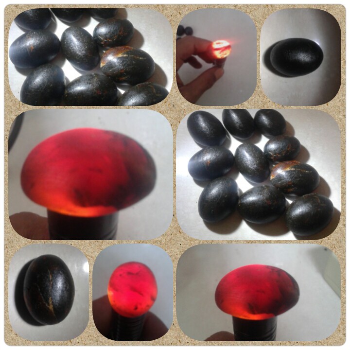 #FREE ONGKIR - Getah kilayu / katilayu dari cirebon