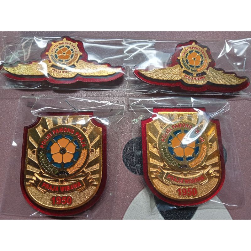 Jual KEWENANGAN POL PP/WING POL PP MAGNET | Shopee Indonesia