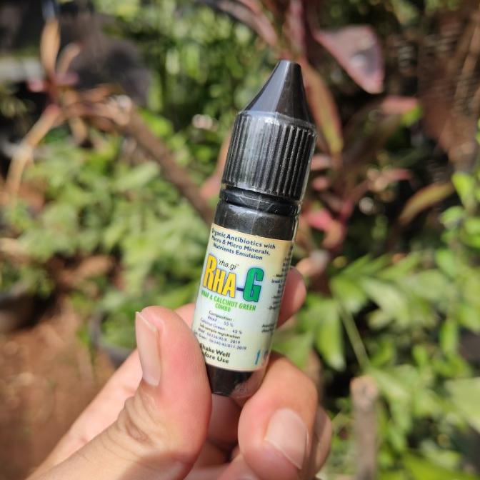 

TERBARU obat herbal gecko sakit, mogok makan dan mencret /OBAT HERBAL ASAM URAT/OBAT HERBAL PELANGSING/OBAT HERBAL KOLESTEROL/OBAT HERBAL DIABETES