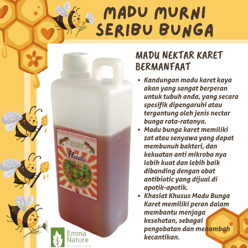 Madu Murni Nektar Bunga Karet Seribu Bunga 1 Kg Kemasan Jerigen