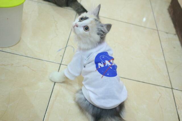 Kaos Nasa lucu untuk kucing &amp; anjing /Jual Baju Kucing Terlengkap &amp; Berkualitas size S-XL