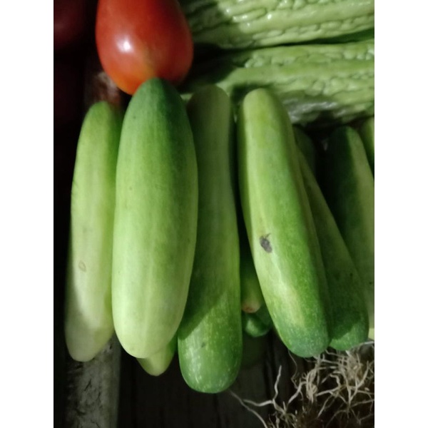 

Sayur Segar Timun Lalapan
