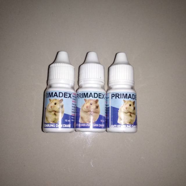 Primadex obat anti kembung dan diare hamster