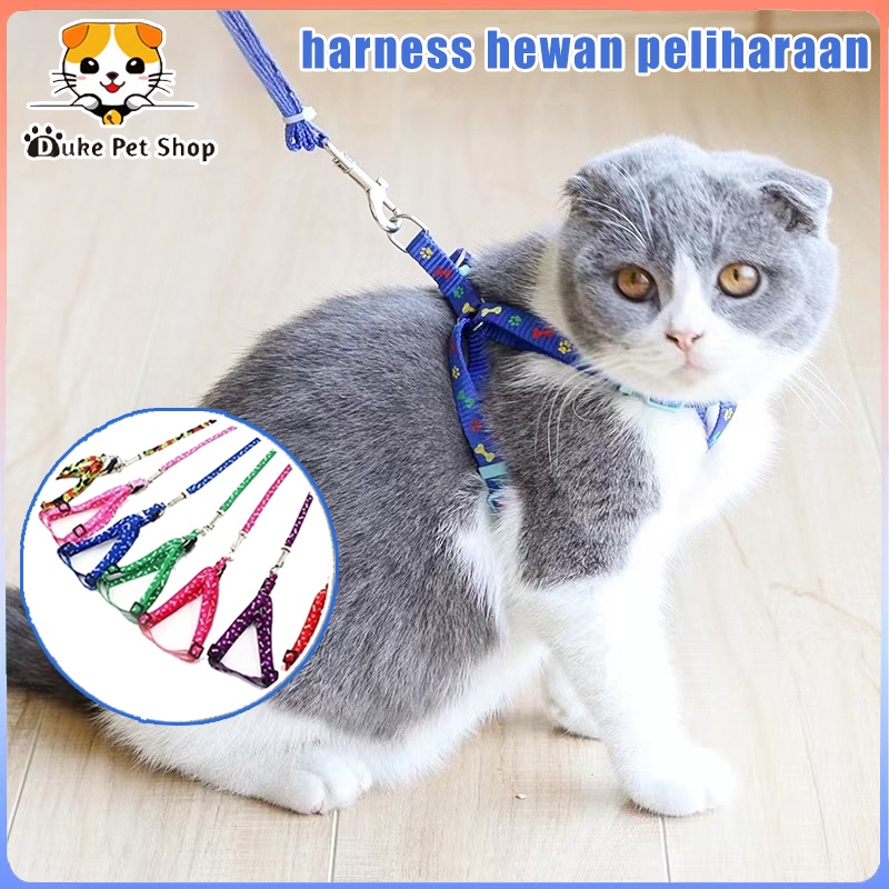 Tali Tuntun Murah Kucing Harness warna-warni Hewan bentuk Y tali Aksesoris Hewan Peliharaan