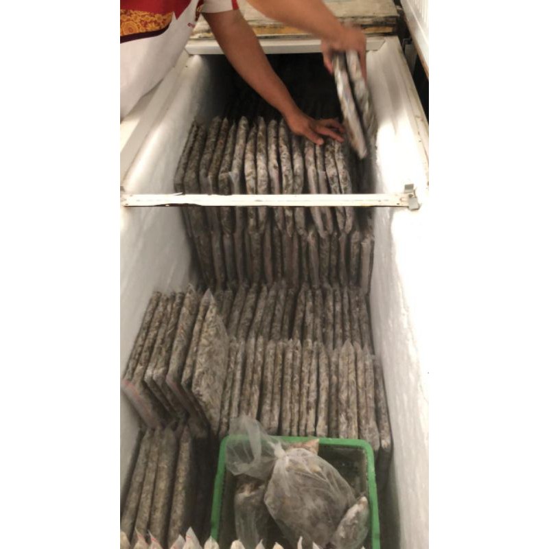 udang beku 500gr/pakan ikan aligator