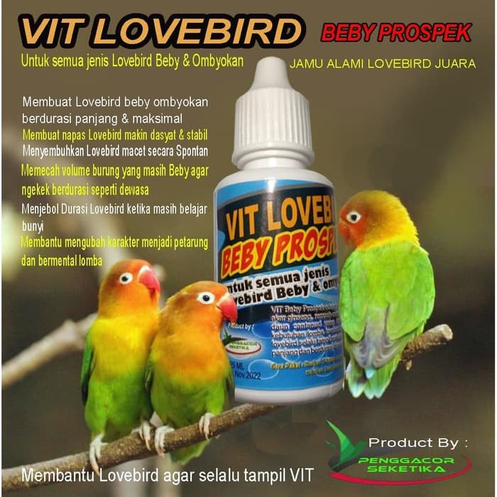 Vit Lovebird Beby Prospek / Jamu Alami Lovebird Juara