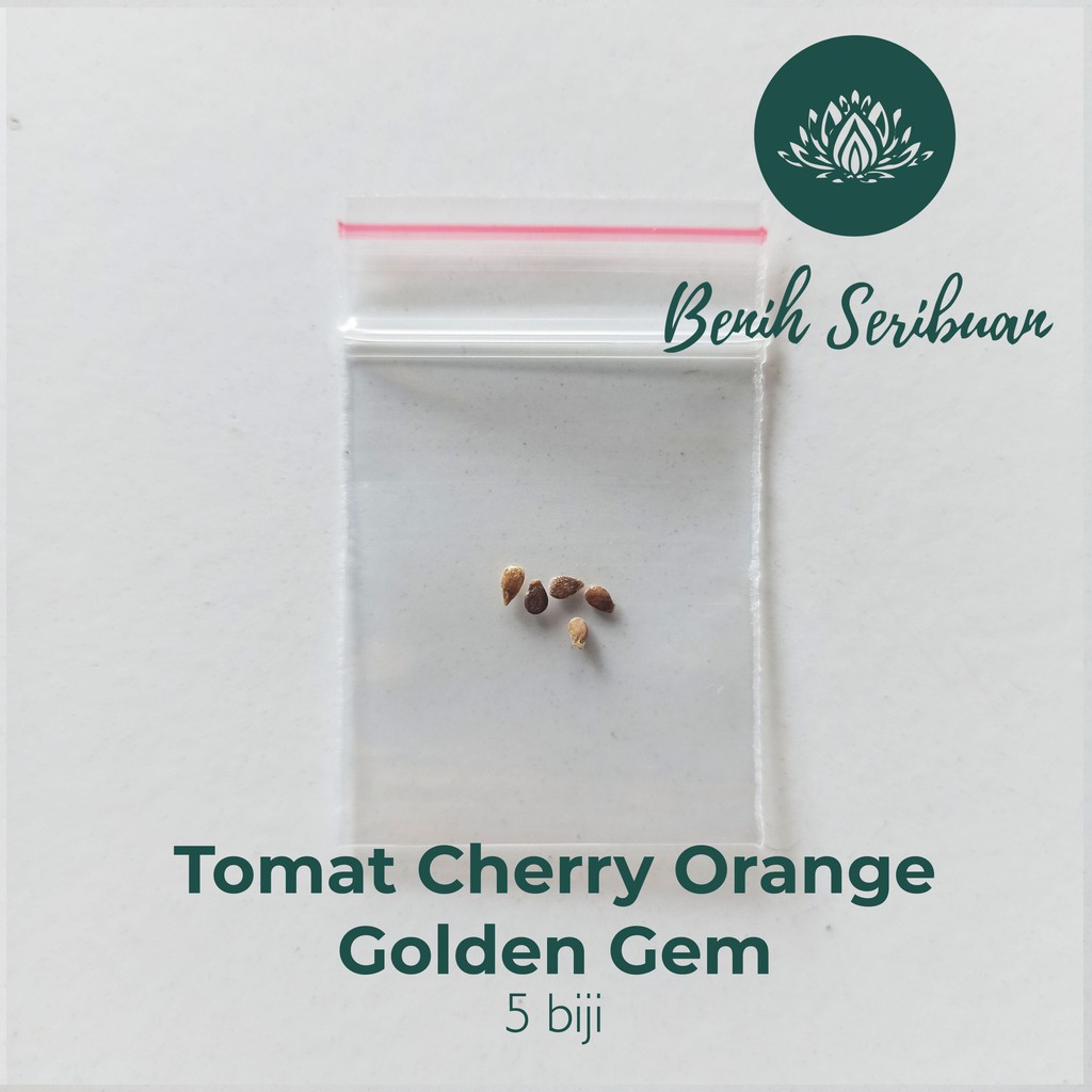 5 Bibit Tomat Cherry Orange Golden Gem F1 Benih Sayuran Chery Buah Cerry Bulat Ceri Tanaman Hias