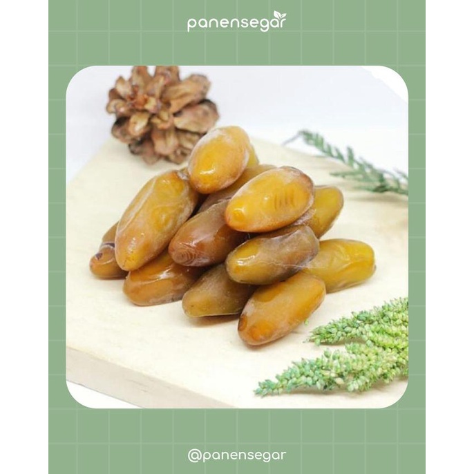 

best seller] Kurma Ruthob Premium Aliya 500gram Panensegar Ramadhan