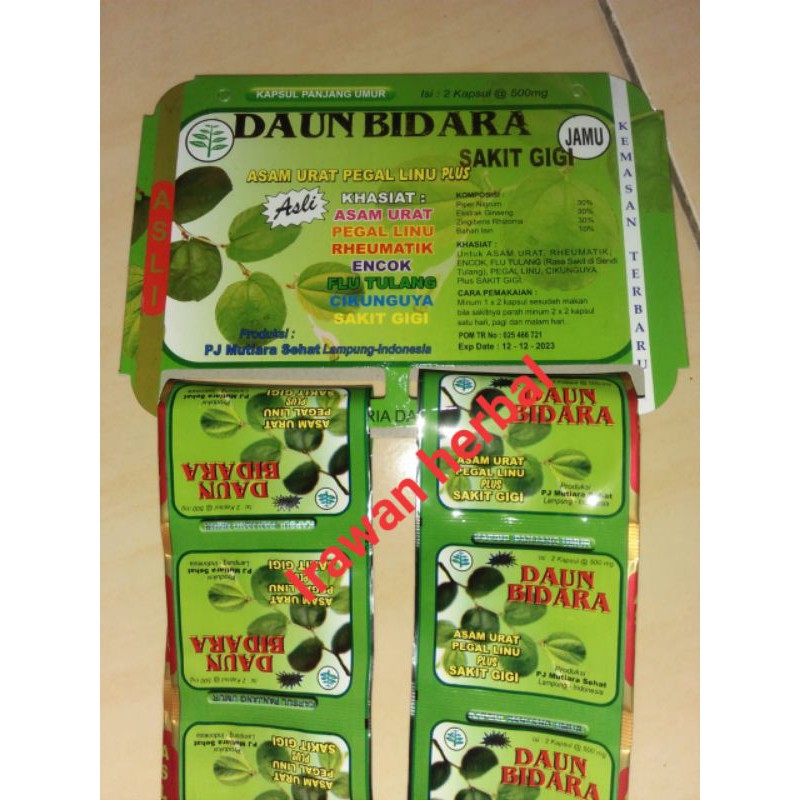 

Daun bidara