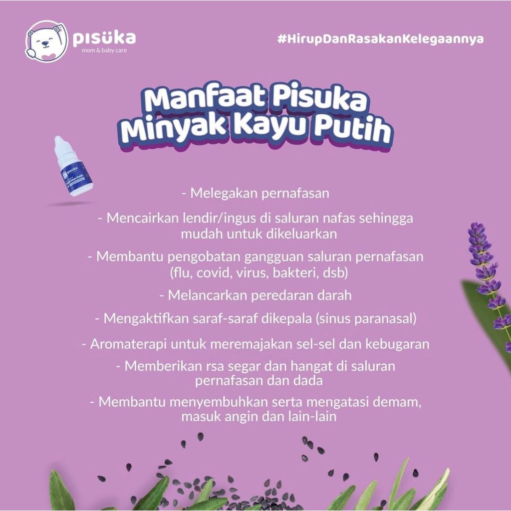 PISUKA MInyak Kayu Putih Plus Qusthul Hindi Melegakan Pernafasan 10ml