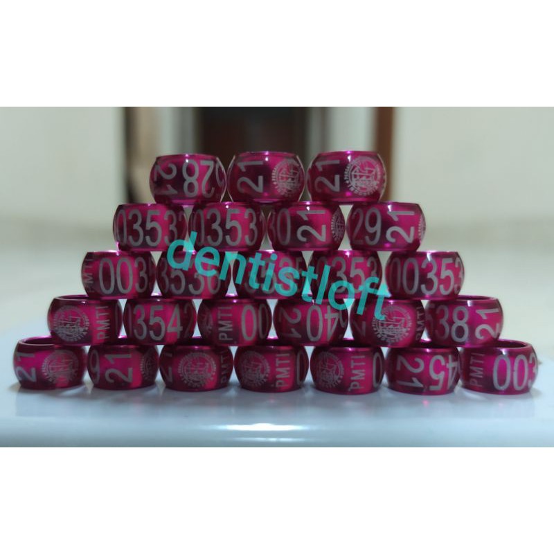 Ring  merpati PMTI Pusat 2021, ring merpati tinggi kolong meja