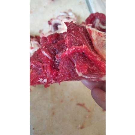 

Tulangan leher sapi