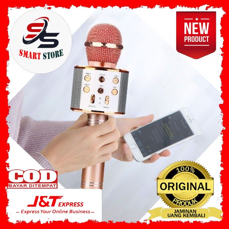 Mic Karaoke Portable