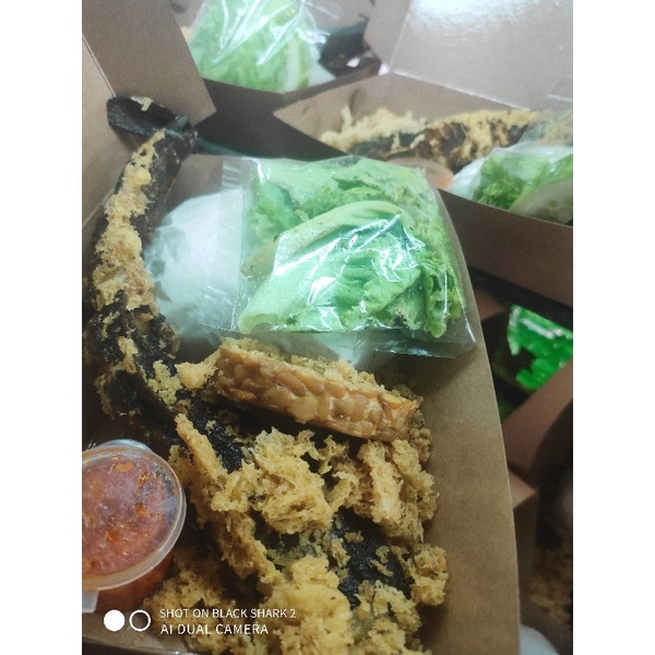 

paket nasi ayam/lele kremes