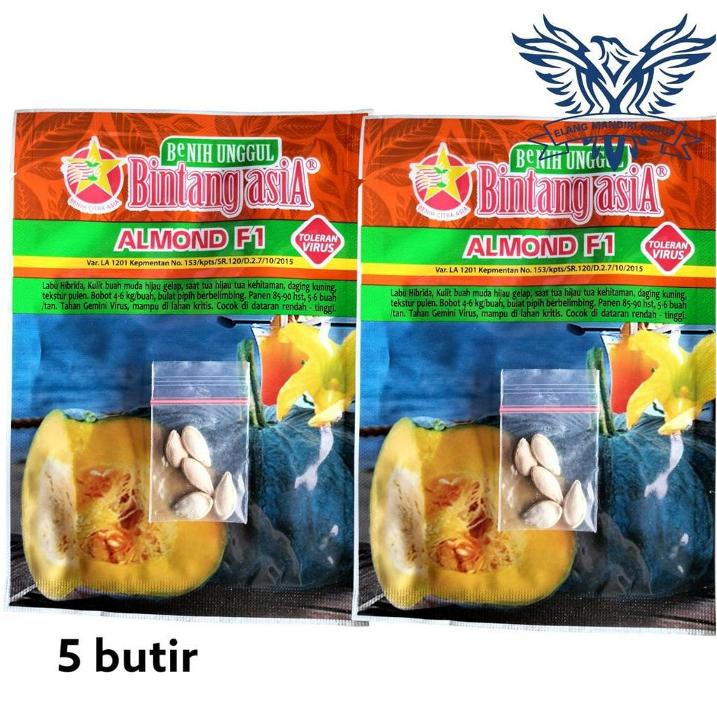 Repack 2000an Benih Bibit LABU ALMOND F1 Bintang Asia - Kusuma f1 Cocok Untuk di Pekarangan